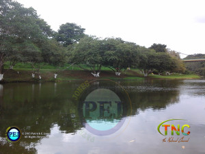 Macal River, San Ignacio