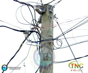 Illegal electricity connections