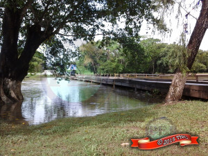 Wooden bridge, San Ignacio/Santa Elena