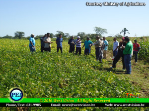 Agriculture Field Day