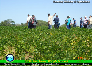 Agriculture Field Day