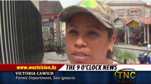 Victoria Cawich (Forest Department, San Ignacio)