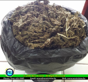 Marijuana found in Belama Phase 4