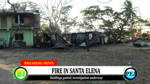 Fire destroys houses