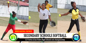 High School Softball Championship 