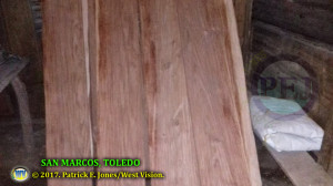Illegal lumber [San Marcos, Toledo]