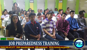 Job skills training